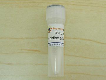 Spermidine (nNOS抑制剂)